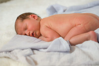 Paternity & New Born